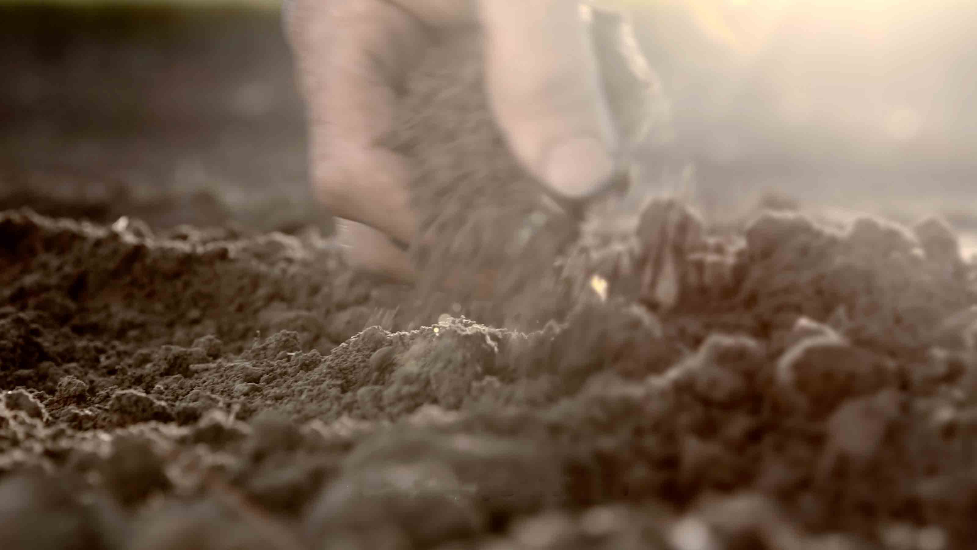 Hand holding soil