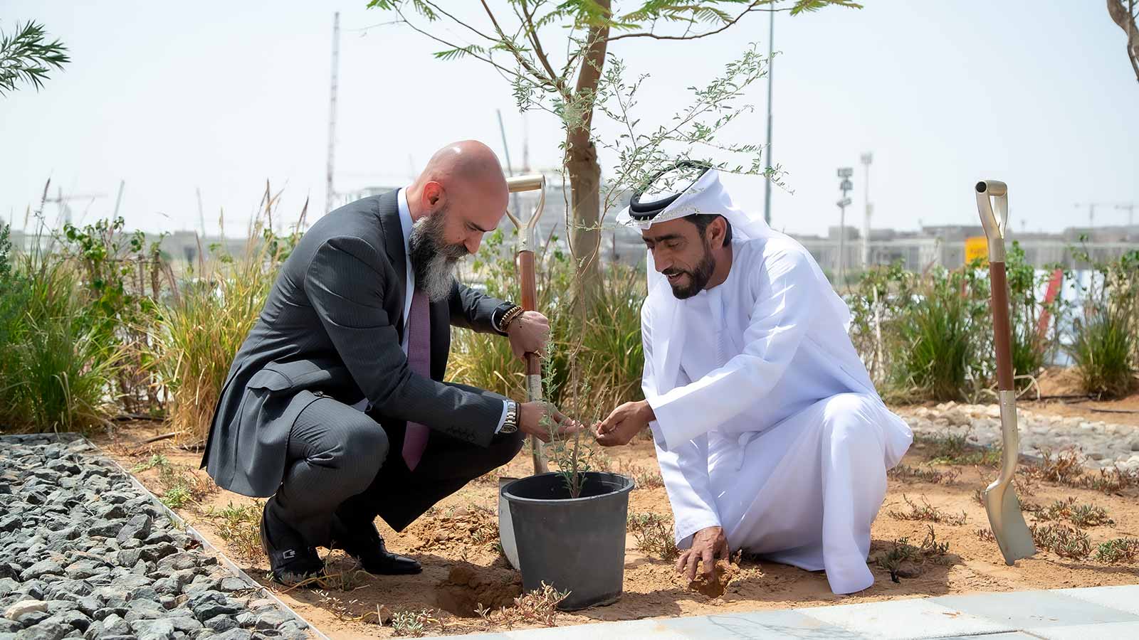 Cisco tree planting