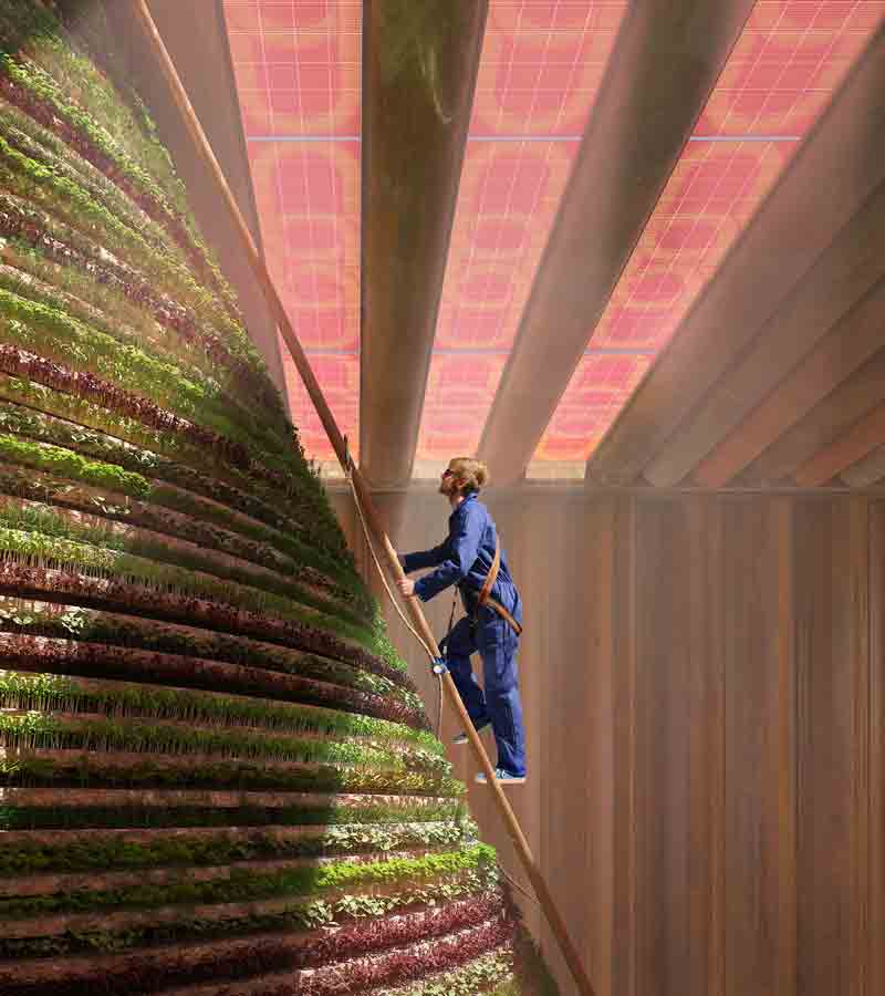 Netherlands Pavilion - Expo 2020 Dubai