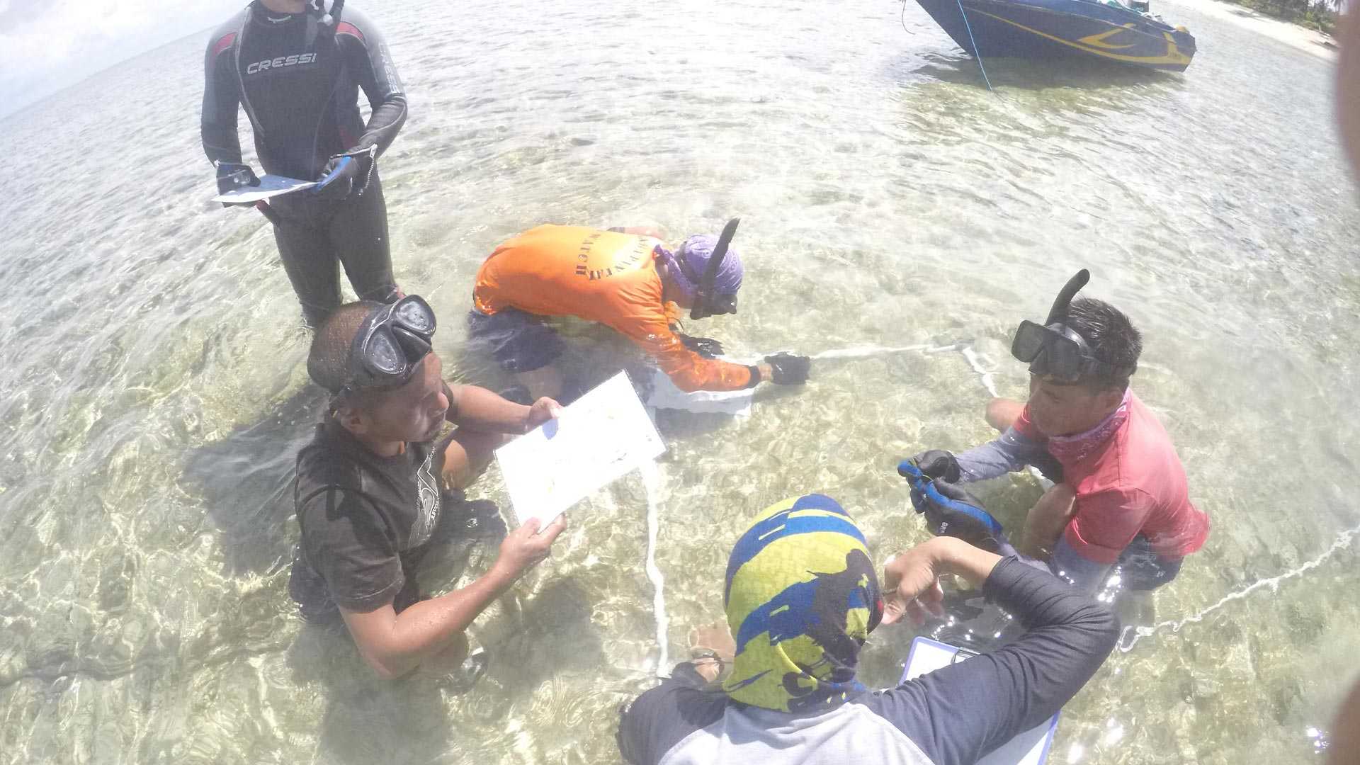 Group of people in the sea wearing snorkeling masks and assessing the reef